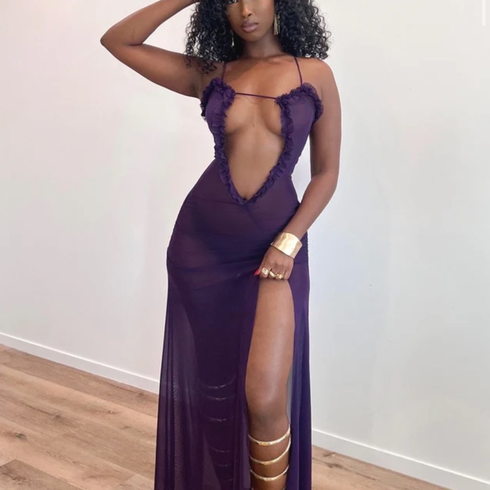 Elegant Purple Sheer Dress